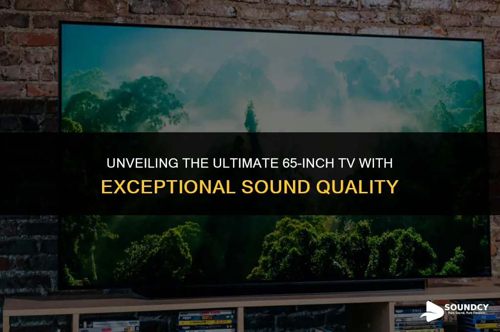 what 65 inch tv has the best sound quality