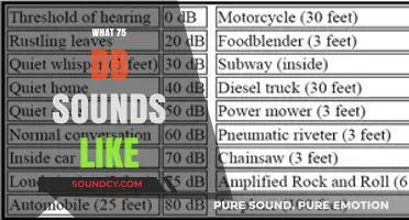 Understanding the Volume: What Does 75 Decibels Sound Like?