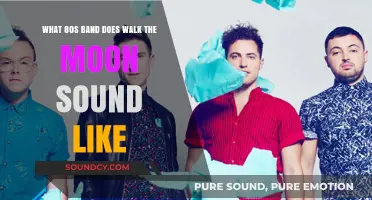 Striking a Chord: Walk the Moon's 80s Influences Explored