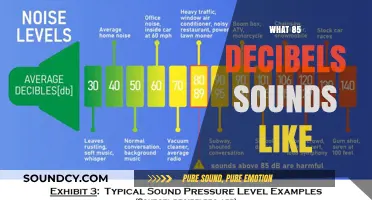 Understanding the Volume: What 85 Decibels Sounds Like in Everyday Life