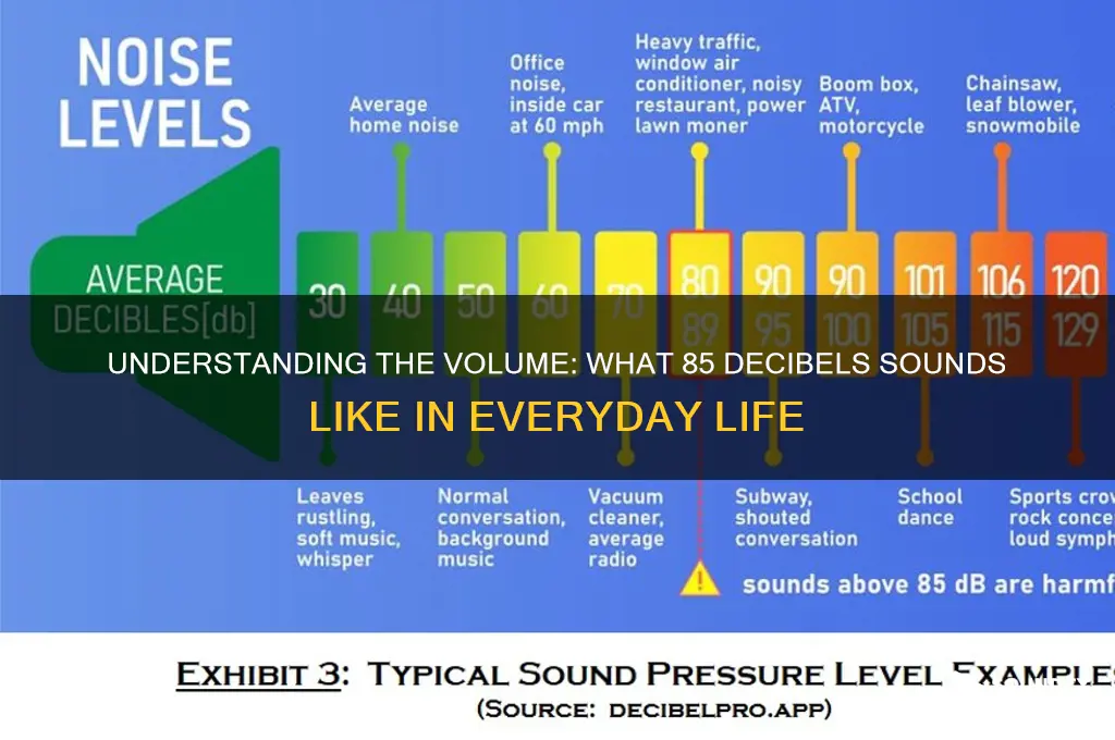 what 85 decibels sounds like