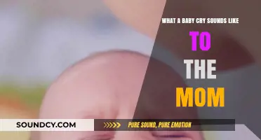 The Unique Melody: A Mother's Guide to Deciphering Baby Cries