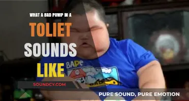 Decoding the Dreaded Gurgle: Signs Your Toilet Pump Needs Help