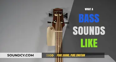 Exploring the Deep, Rich Tone: What a Bass Sounds Like