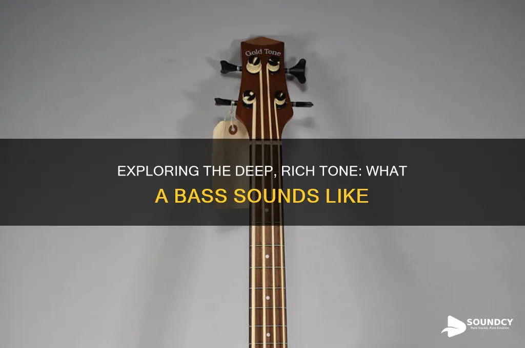 what a bass sounds like