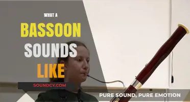 Unveiling the Rich, Deep, and Unique Sound of the Bassoon