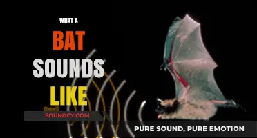 Echoes of the Night: Unveiling the Unique Sounds of Bats