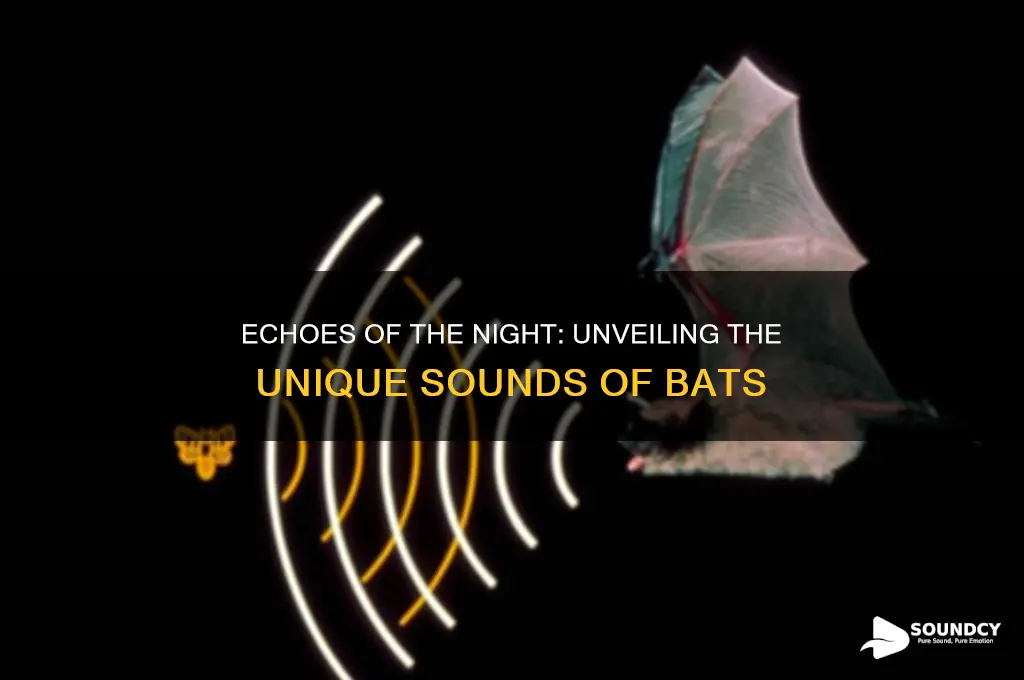 what a bat sounds like