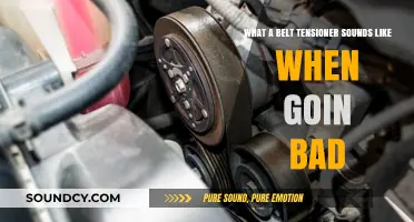 Decoding the Noises: Signs Your Belt Tensioner is Failing