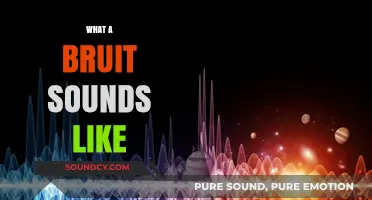 Understanding the Unique Sound of a Bruit: What to Listen For