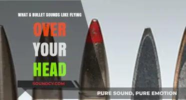 The Deafening Silence: Bullets Whizzing Overhead