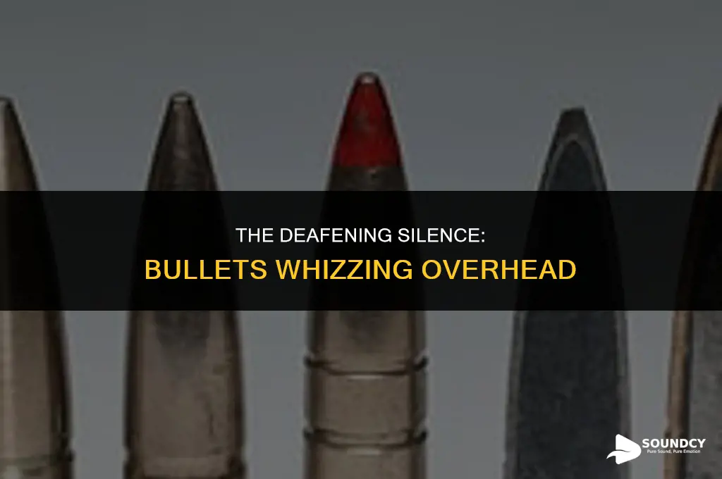 what a bullet sounds like flying over your head