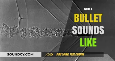 Unveiling the Acoustic Mystery: What Does a Bullet Sound Like?