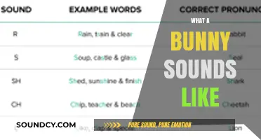 Discover the Surprising Sounds Bunnies Make: A Guide to Rabbit Noises