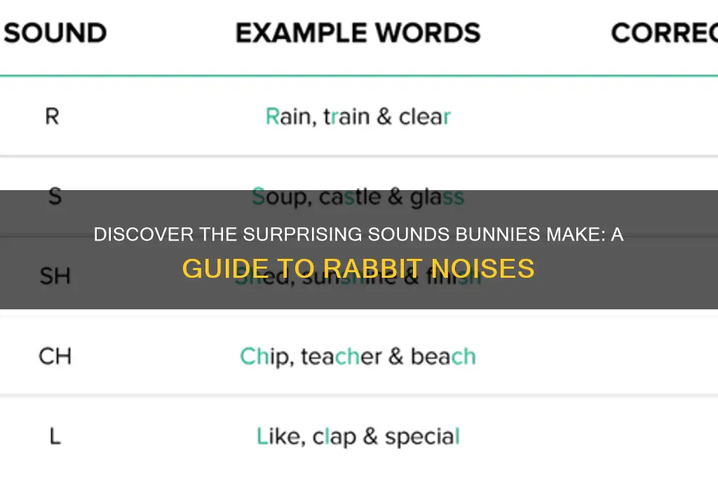 what a bunny sounds like