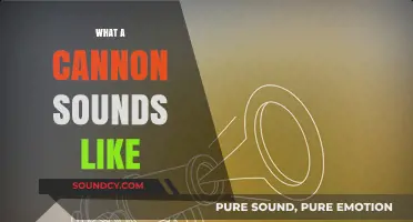 Explosive Echoes: Unveiling the Thunderous Roar of a Cannon's Blast