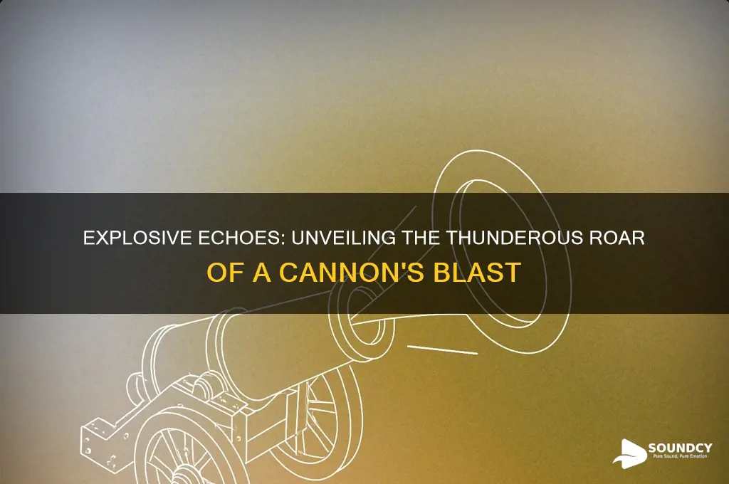 what a cannon sounds like
