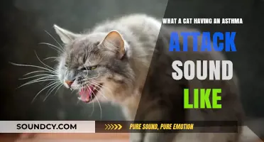Recognizing the Signs: What a Cat's Asthma Attack Sounds Like