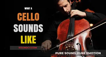 The Rich, Deep, and Soulful Voice of the Cello Explored