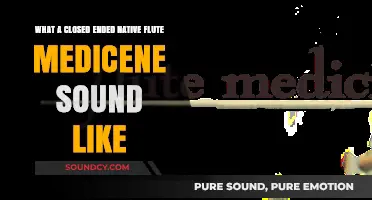 Exploring the Healing Melodies of a Closed-Ended Native Flute