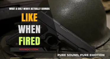 The Authentic Sound of a Colt M1911: Dispelling Myths