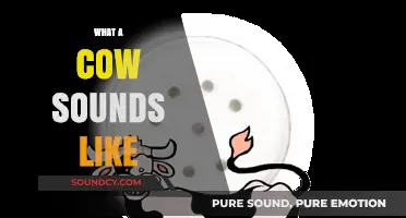 Moo-sic to Your Ears: Decoding the Unique Sounds of Cows