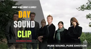 Perfect Day Serenade: The Catchy Tune That's Got Everyone Humming