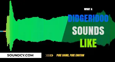 Unveiling the Unique, Haunting Sound of the Didgeridoo: A Sonic Journey