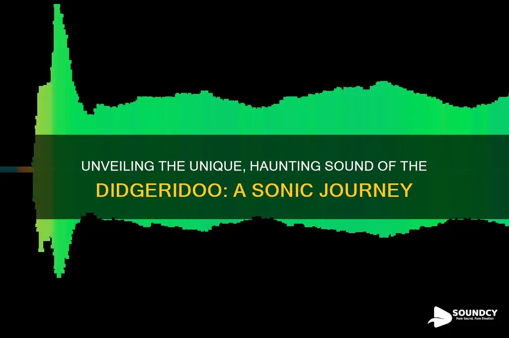 what a didgeridoo sounds like