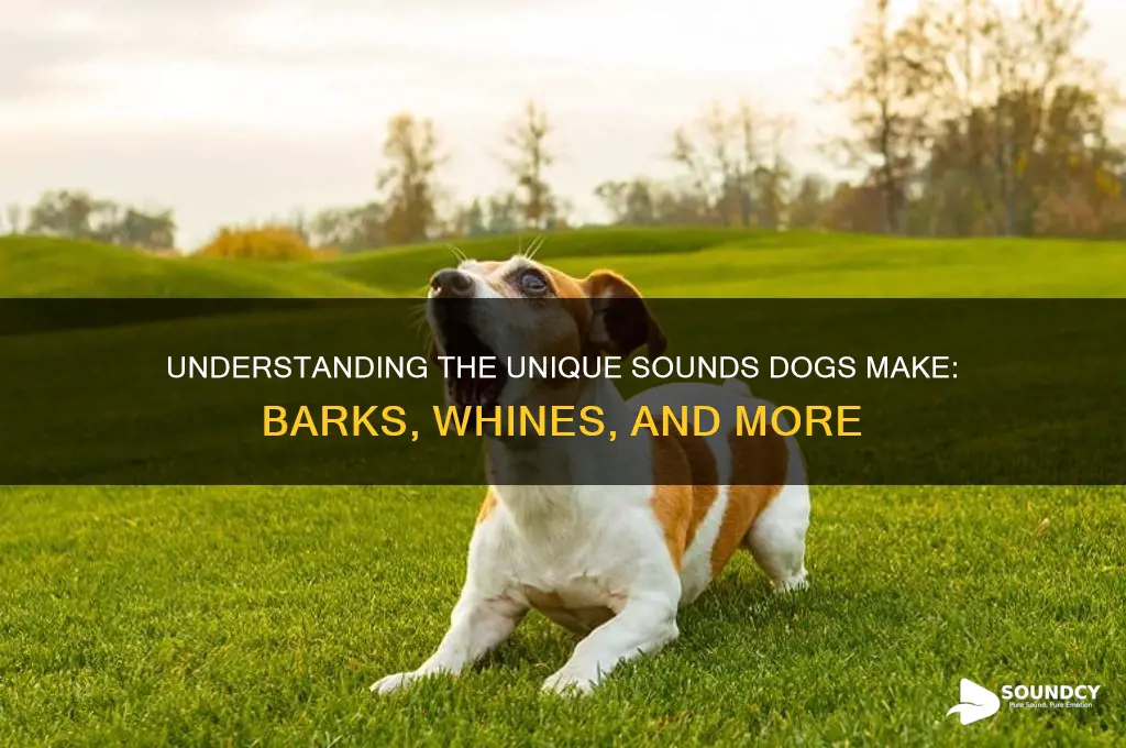 what a dog sound like