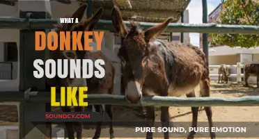 Unveiling the Unique Vocalizations: What Does a Donkey Sound Like?