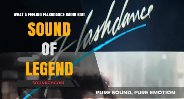 Rhythmic Legends: The Flashdance Radio Edit Sensation