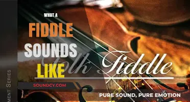 Discover the Unique, Soulful Sound of a Fiddle's Melody