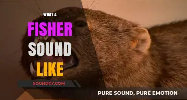 Unveiling the Unique Sounds of Fishers in the Wild