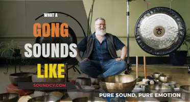 Exploring the Mystical Resonance: What Does a Gong Truly Sound Like?