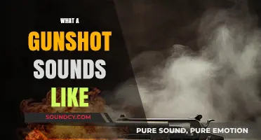 The Shocking Reality: What a Gunshot Sounds Like in Real Life