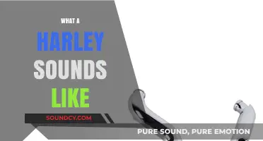 The Iconic Rumble: What a Harley Sounds Like Explained