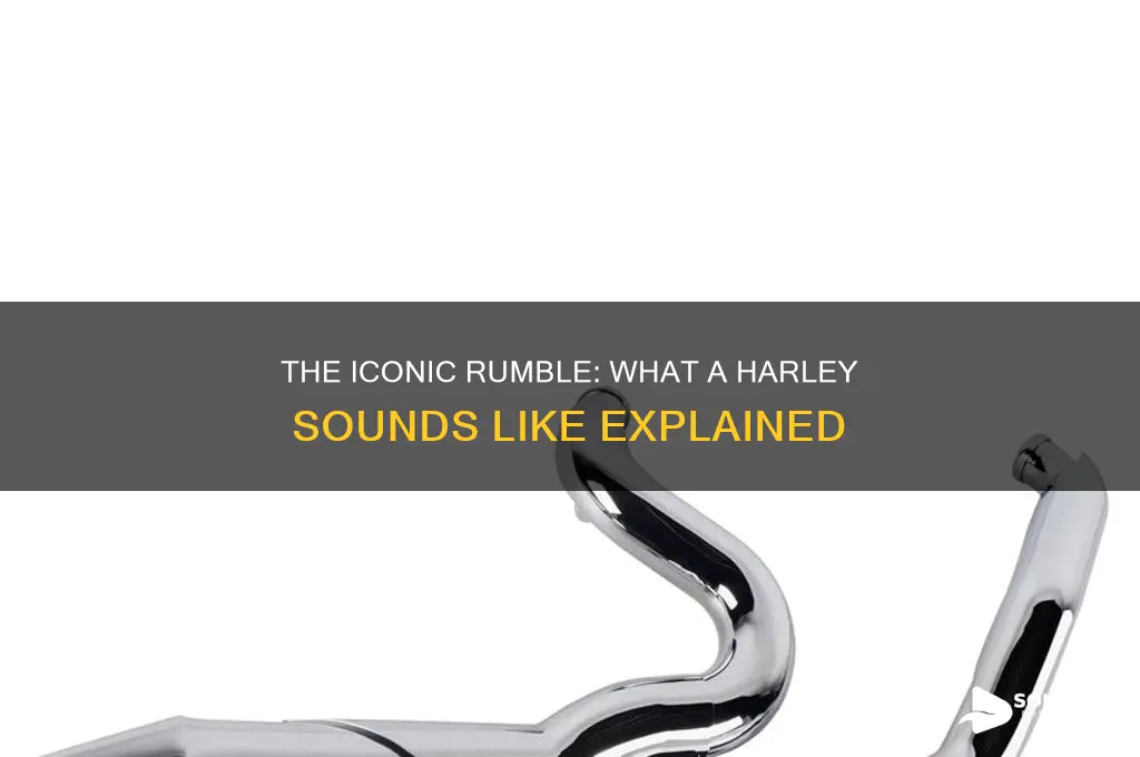 what a harley sounds like