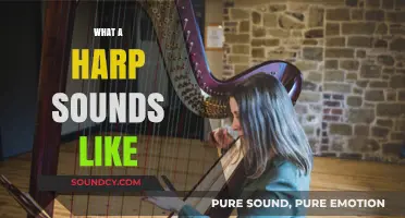 Discover the Ethereal, Melodic Magic of a Harp's Unique Sound