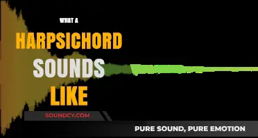 Discover the Unique, Crisp, and Historic Sound of a Harpsichord