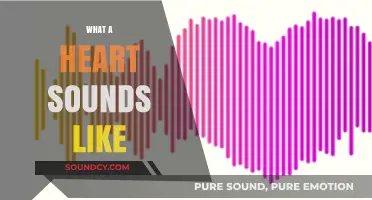 The Symphony Within: Decoding the Unique Sounds of a Heart