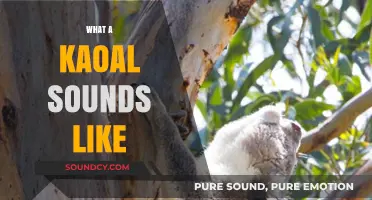 Unveiling the Unique Vocalizations: What a Koala Sounds Like