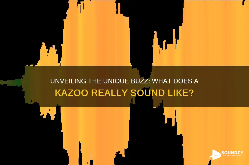 what a kazoo sounds like