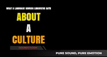 Echoes of Culture: Decoding the Linguistic Landscape