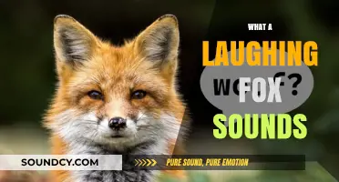 Unveiling the Unique and Playful Sound of a Laughing Fox