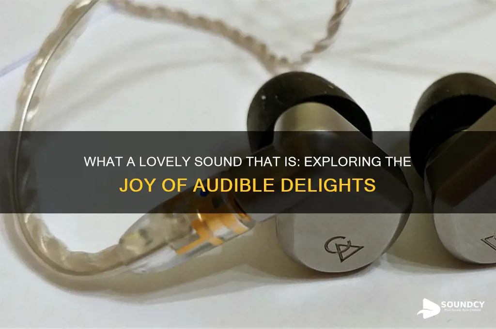 what a lovely sound that