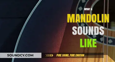 Discover the Unique, Bright, and Expressive Sound of a Mandolin