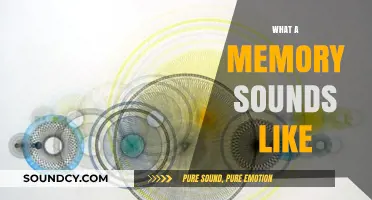 Echoes of the Mind: Decoding the Sonic Imprint of Memories
