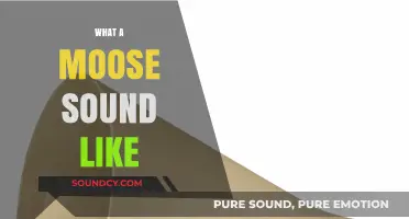 Unveiling the Unique Calls: What Does a Moose Sound Like?