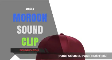 What a Maroon Sound Clip: Origins, Memes, and Viral Impact Explained